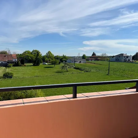 Appartement Tout Confort, Cosy Refait A Neuf Hambach Exterior photo