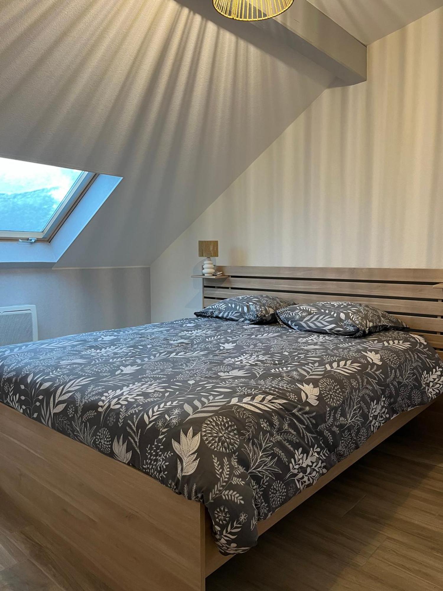 Confort, Cosy Refait A Neuf Appartamento Hambach